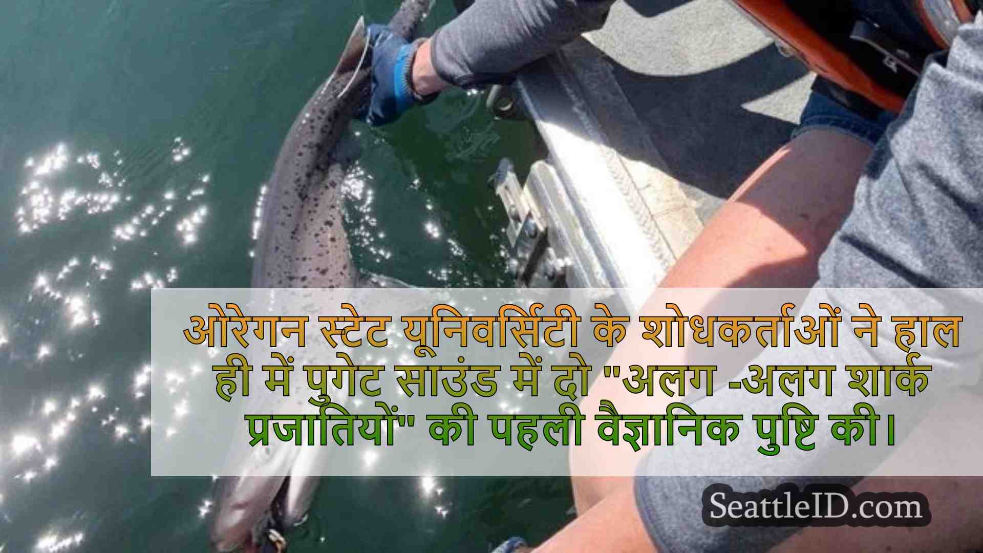 सिएटल समाचार SeattleID