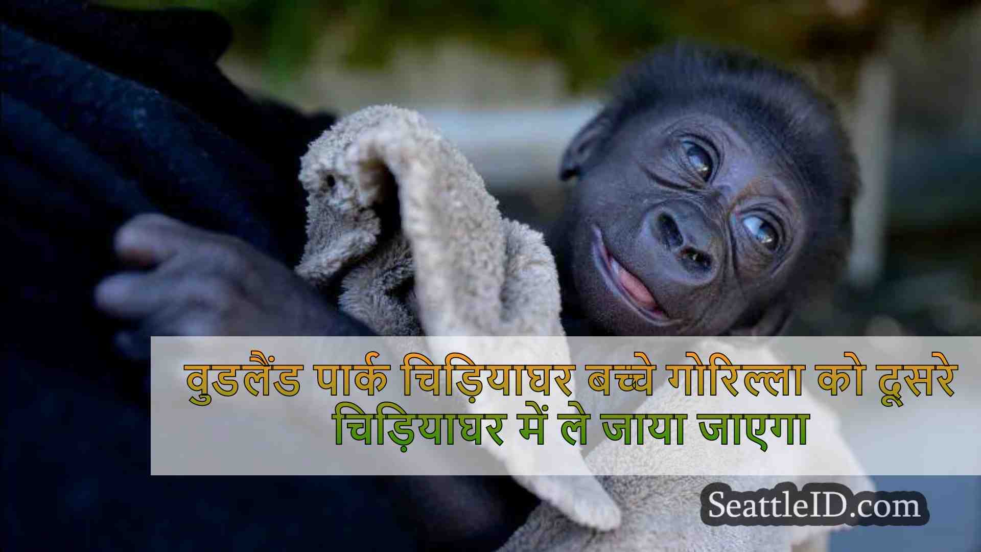 वुडलैंड पार्क चिड़ियाघर बच्चे गोरिल्ला