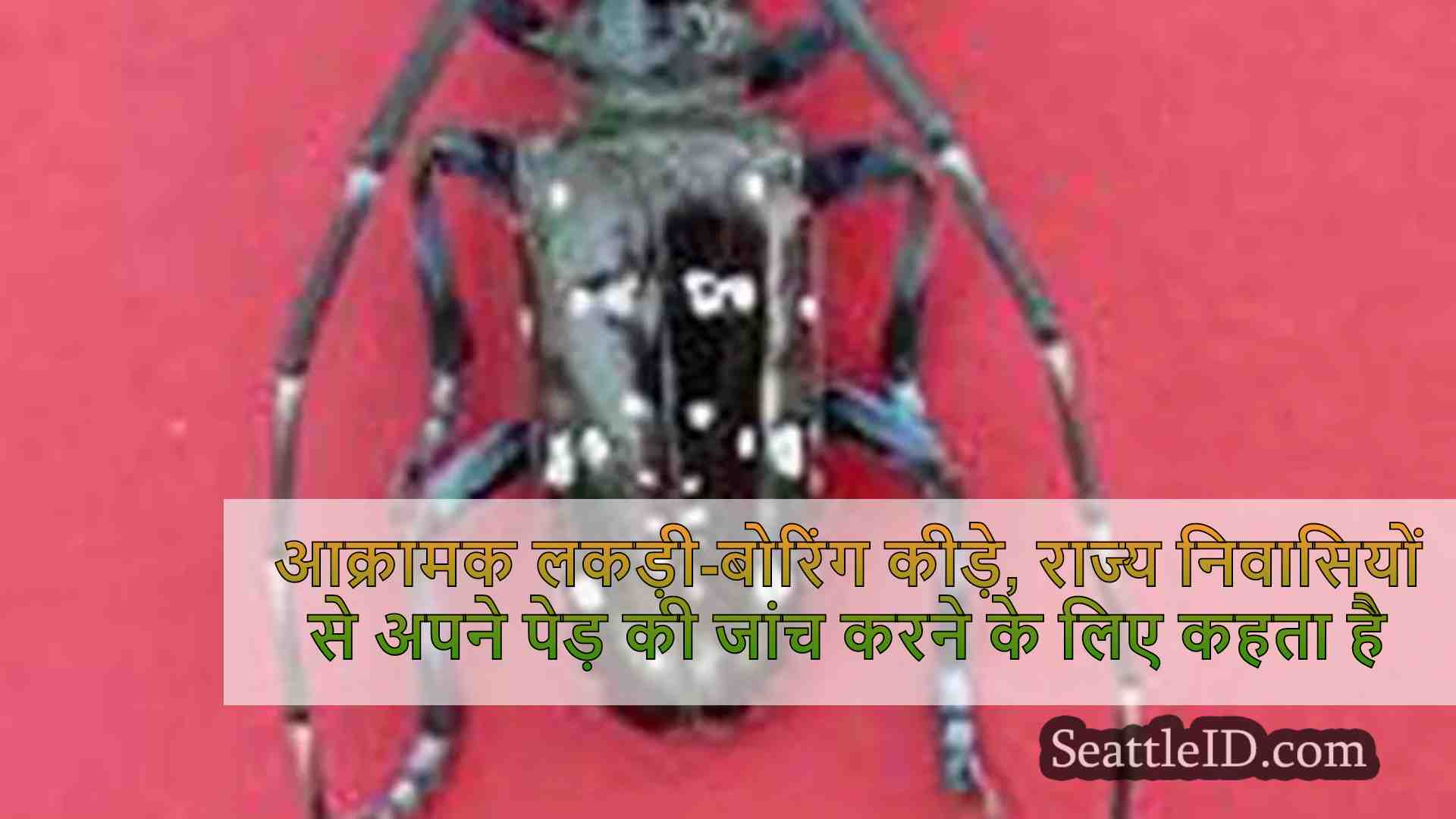 आक्रामक लकड़ी-बोरिंग कीड़े, राज्य