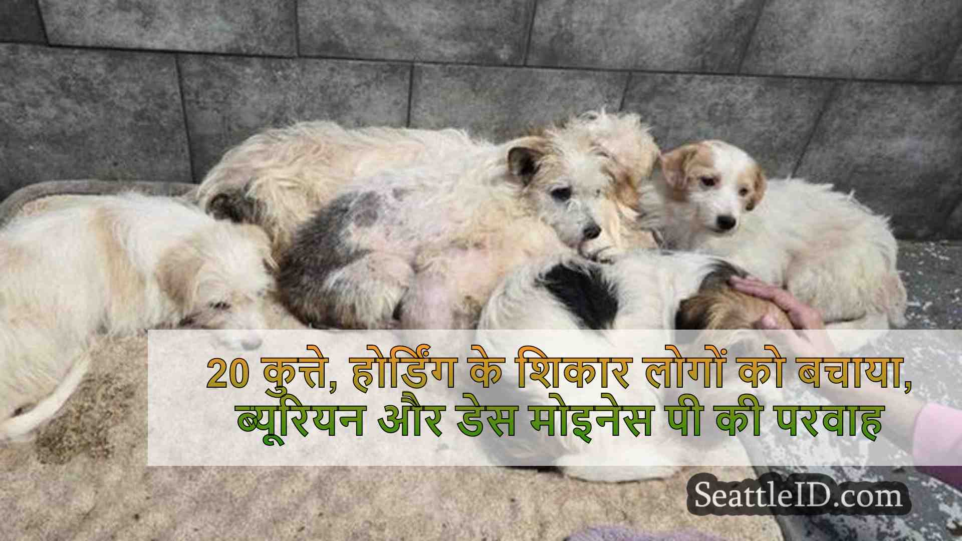 20 कुत्तों, होर्डिंग के शिकार लोगों को