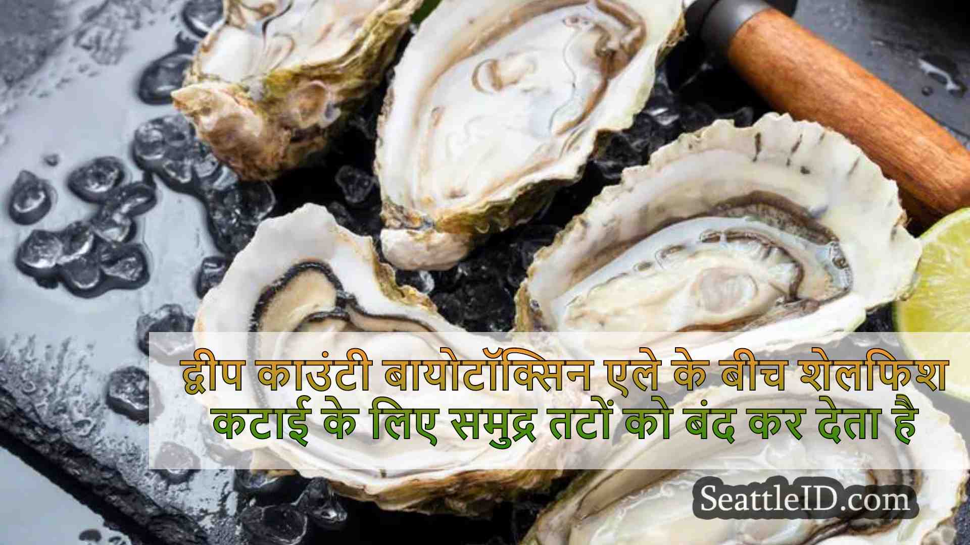 द्वीप काउंटी बायोटॉक्सिन अलर्ट के बीच