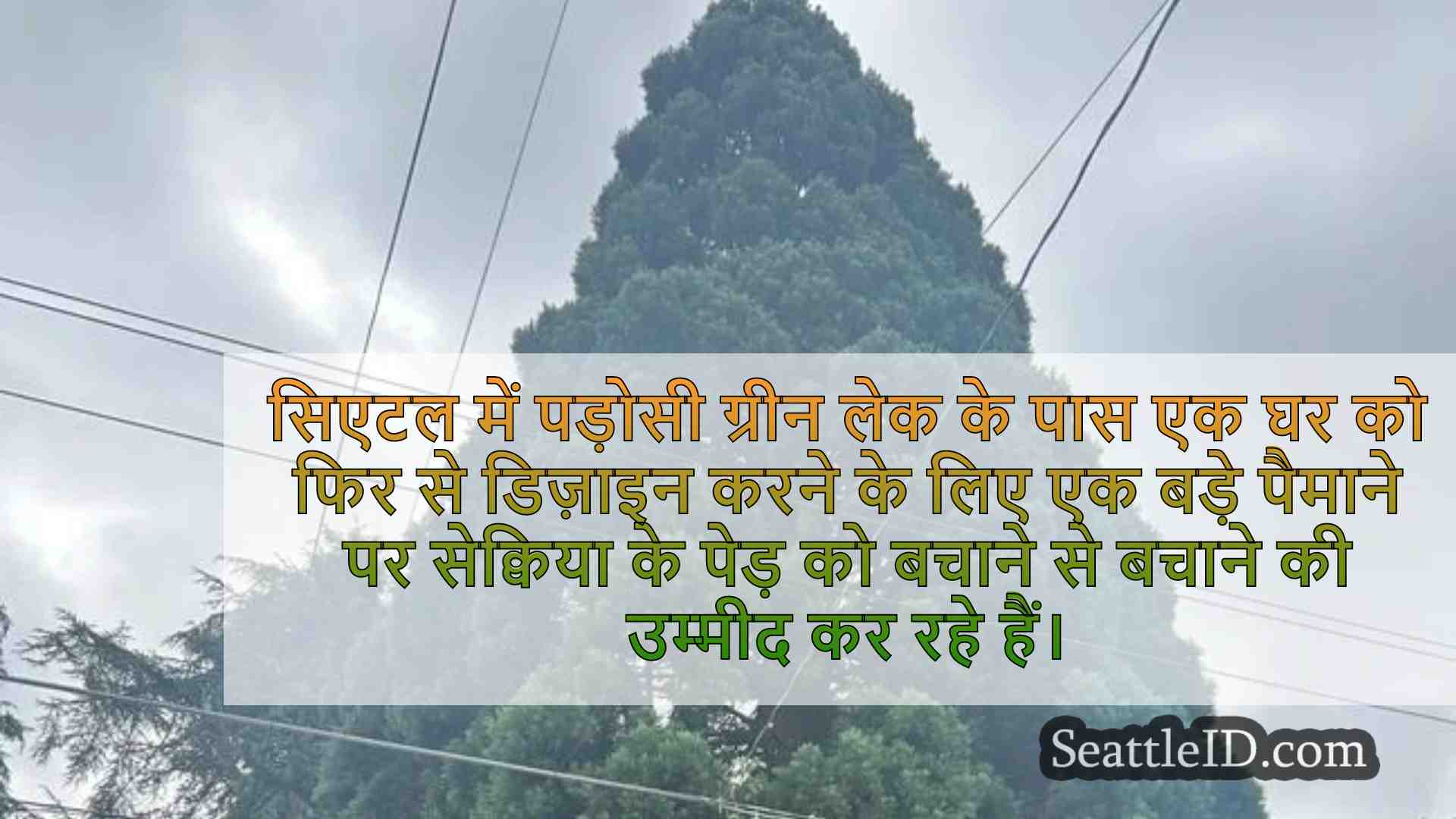 सिएटल समाचार SeattleID