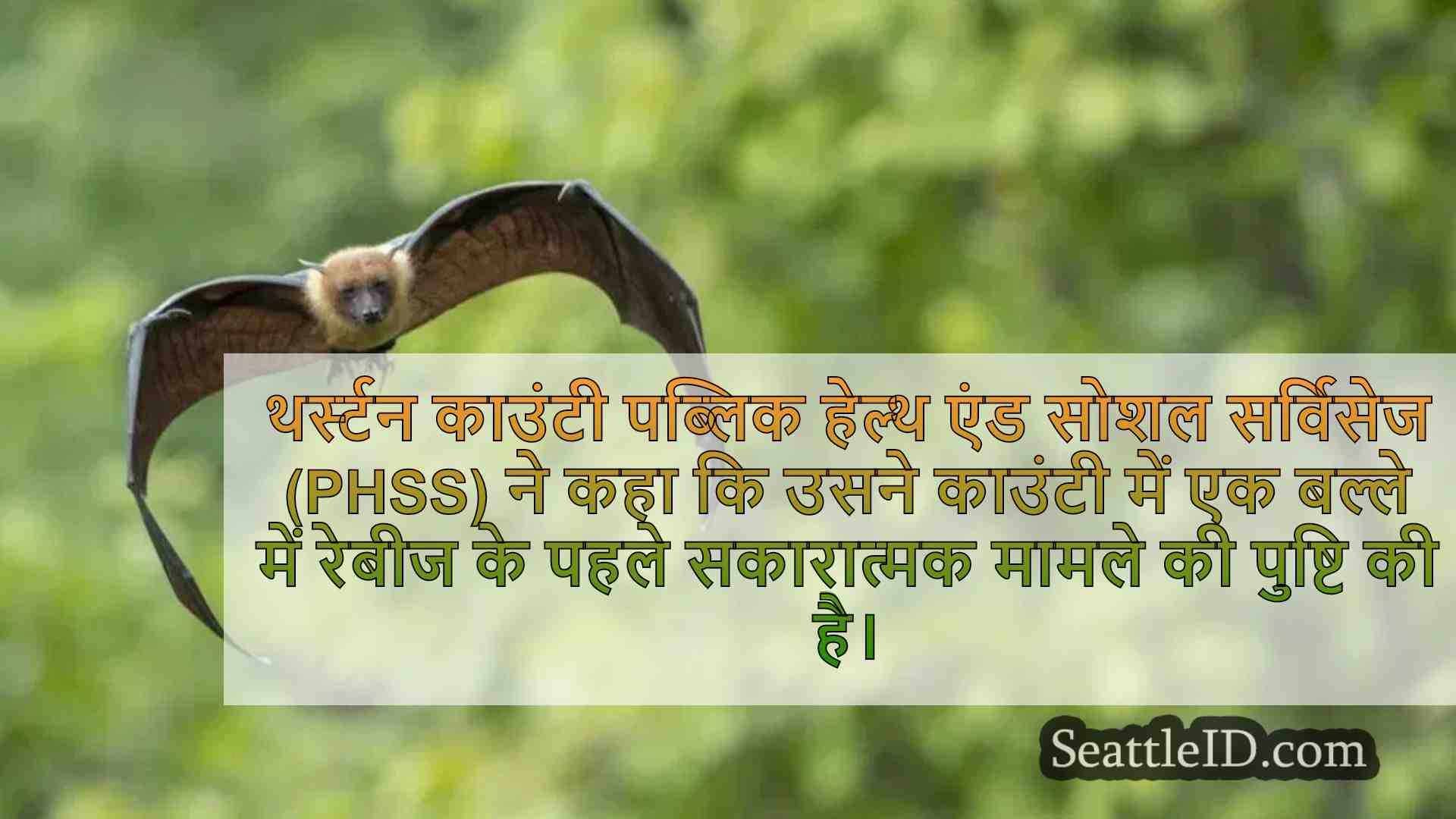थर्स्टन काउंटी एक बल्ले में रेबीज के