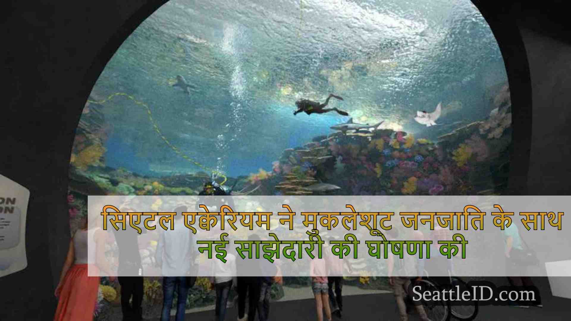 सिएटल एक्वेरियम ने मुकलेशूट जनजाति के