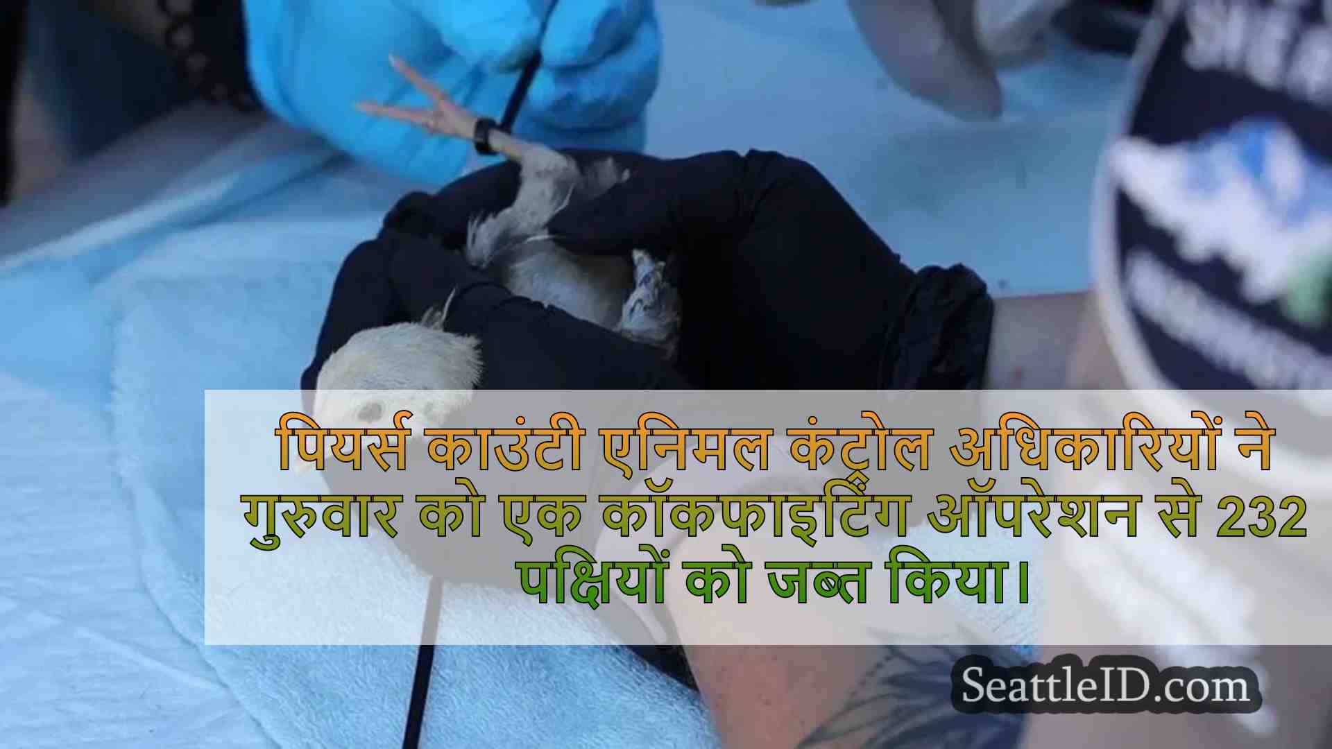 232 पक्षियों ने बड़े पियर्स काउंटी