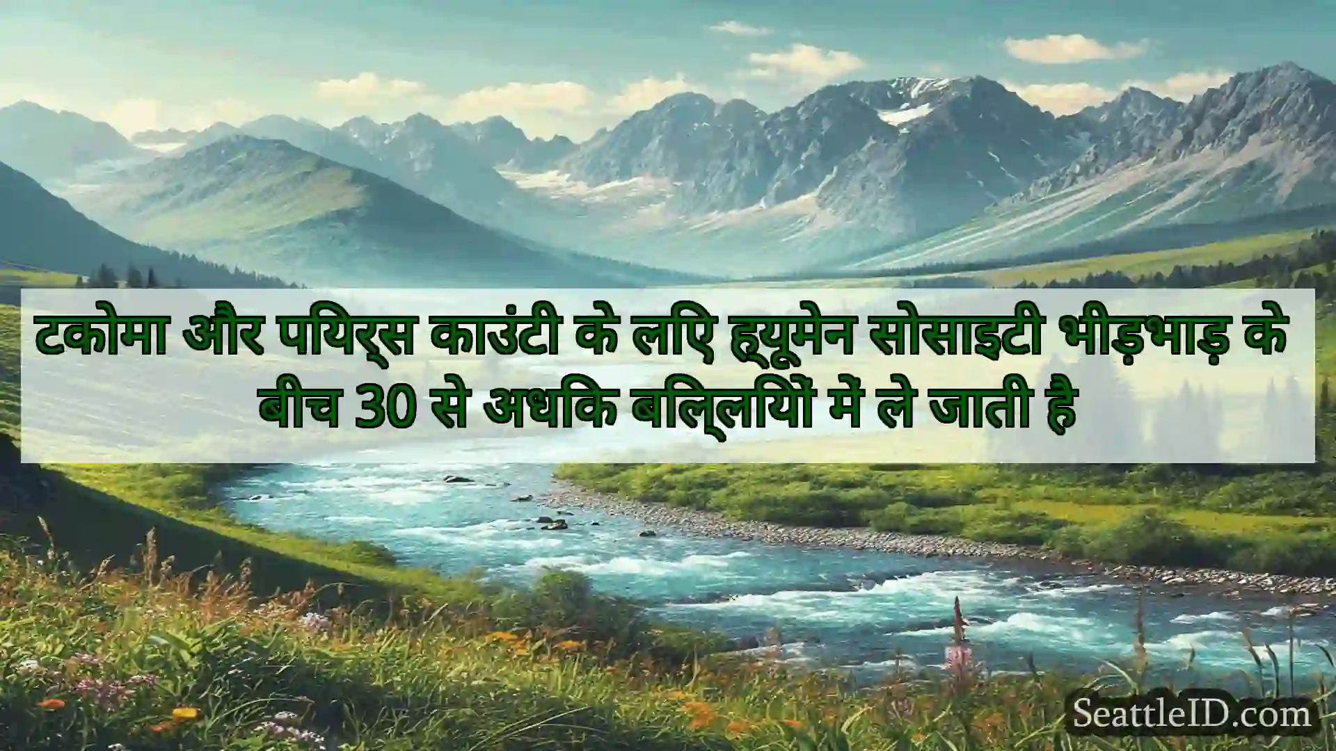सिएटल समाचार टकोमा और पियर्स काउंटी के लिए