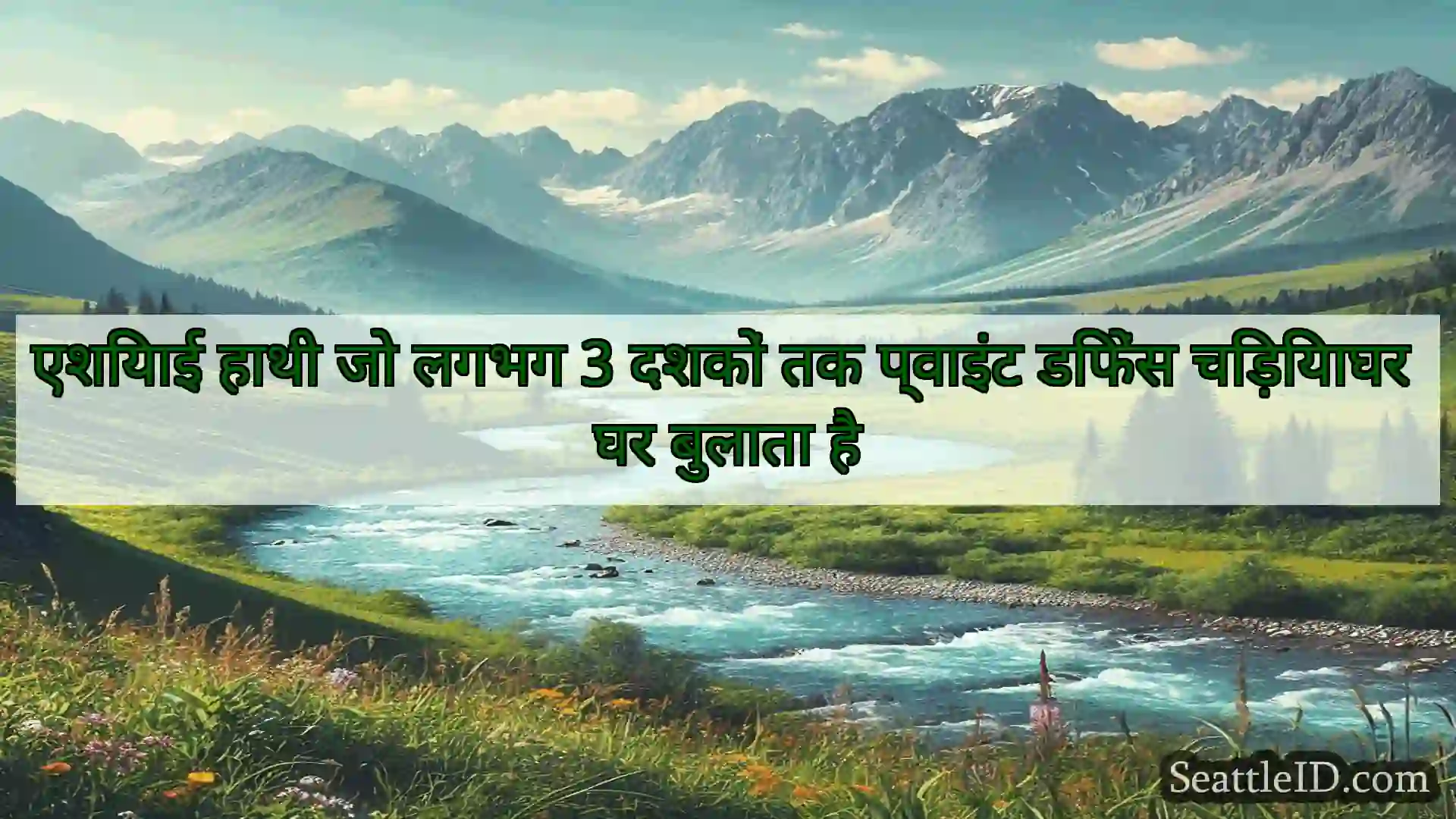 सिएटल समाचार एशियाई हाथी जो लगभग 3 दशकों तक