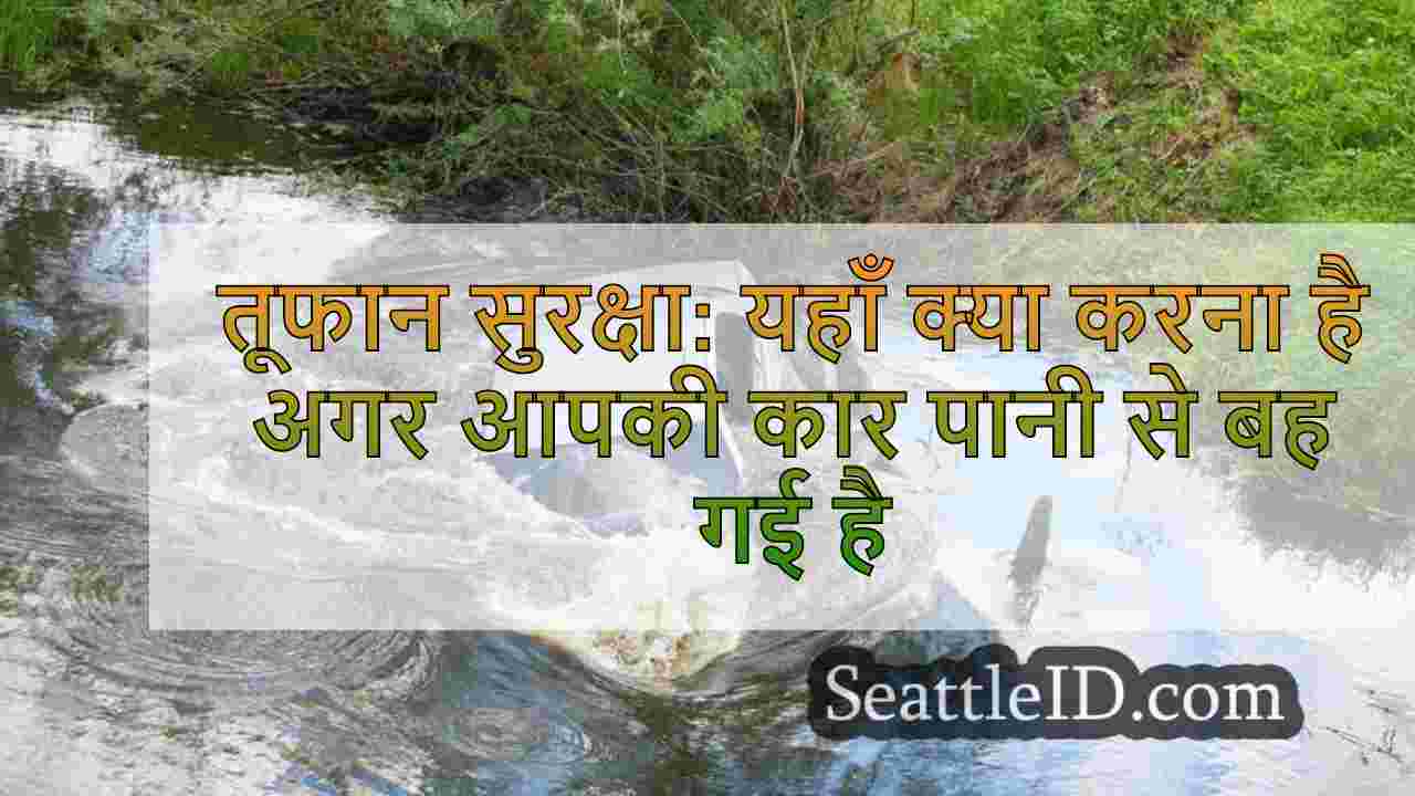 तूफान सुरक्षा: यहाँ क्या करना है अगर