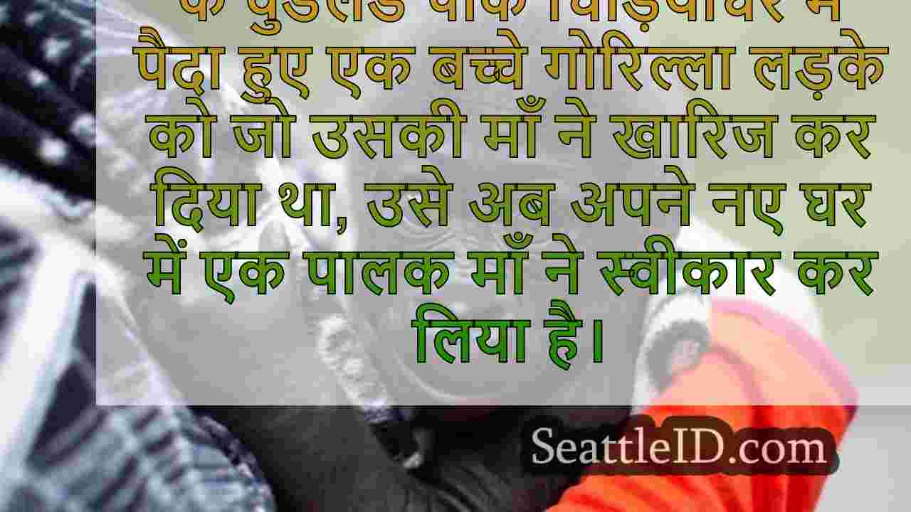 सिएटल समाचार SeattleID
