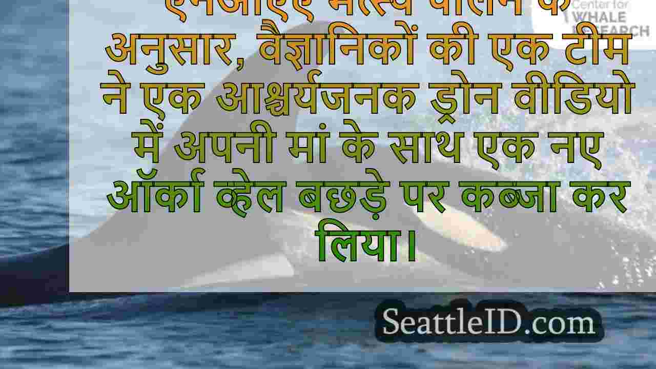 सिएटल समाचार SeattleID