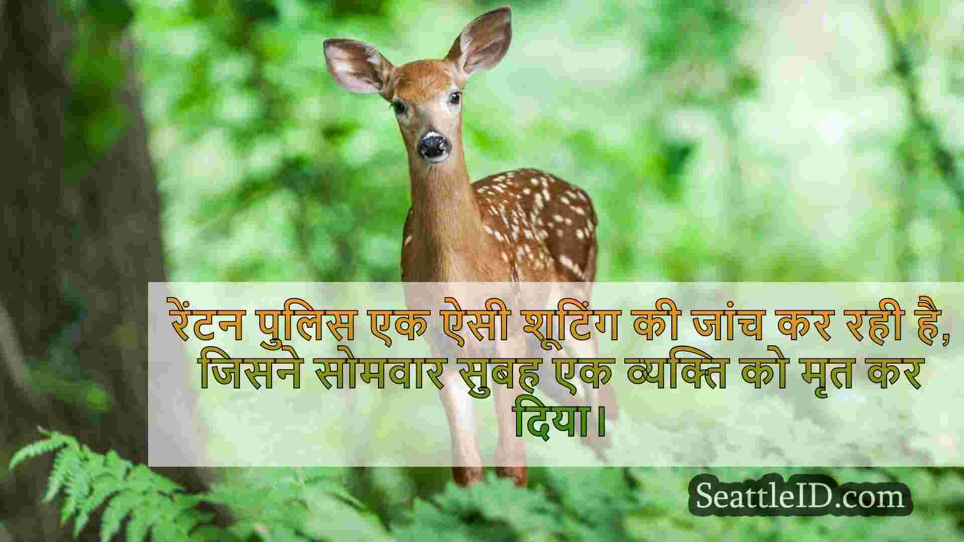 सिएटल समाचार SeattleID