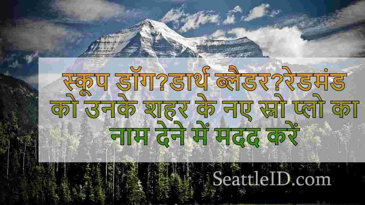सिएटल समाचार SeattleID