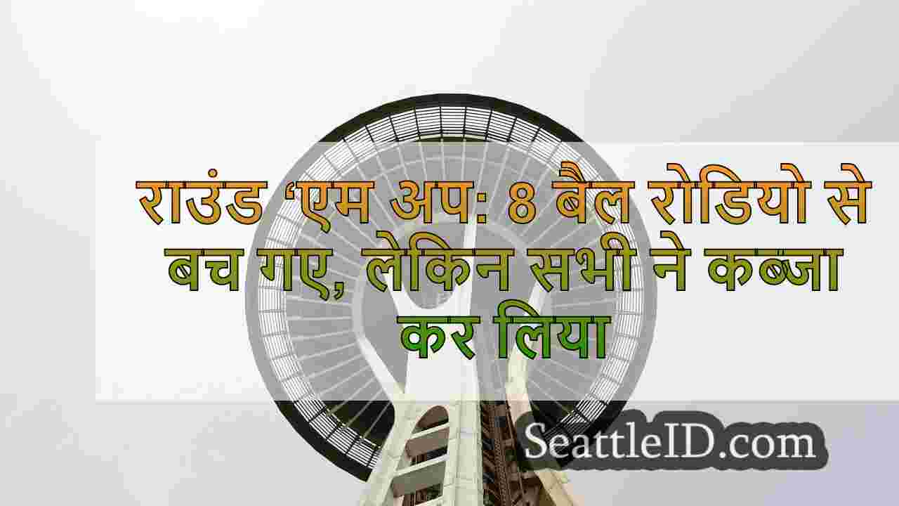 सिएटल समाचार SeattleID