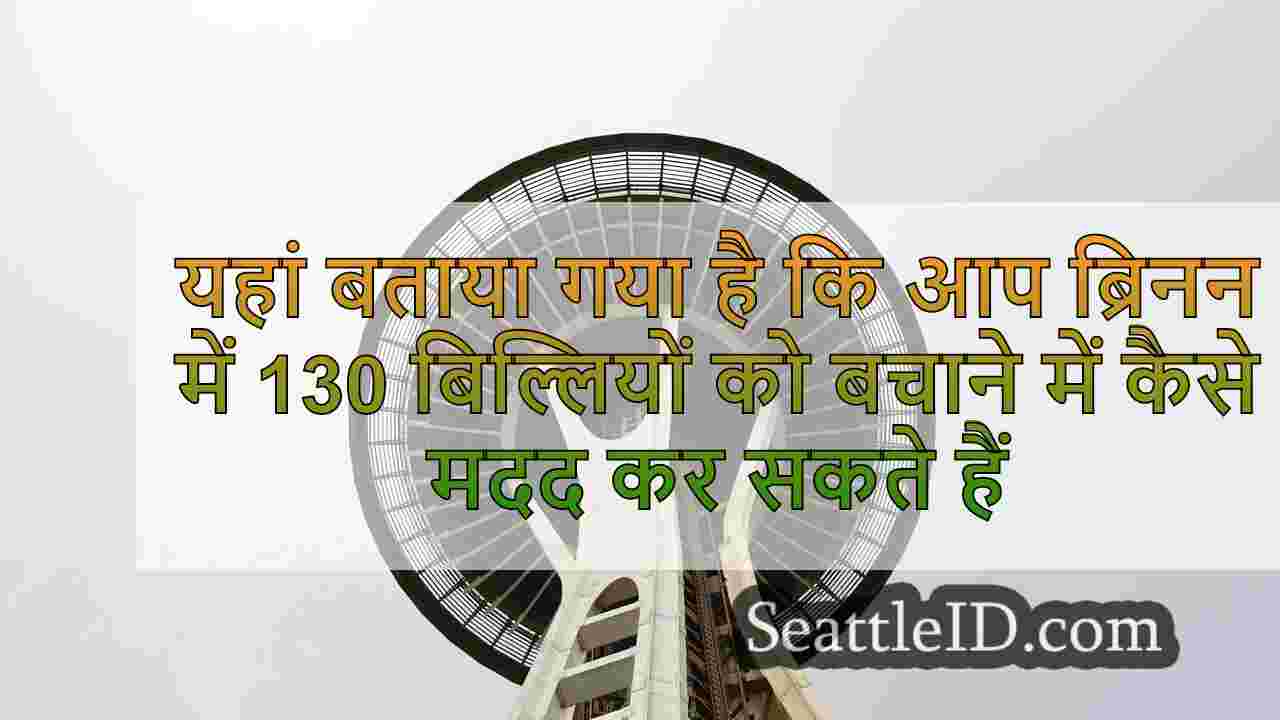 सिएटल समाचार SeattleID