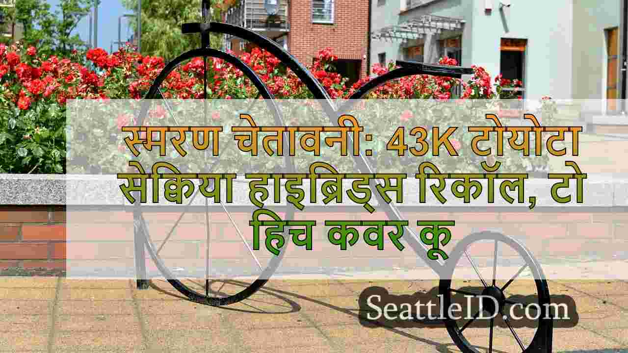 सिएटल समाचार SeattleID