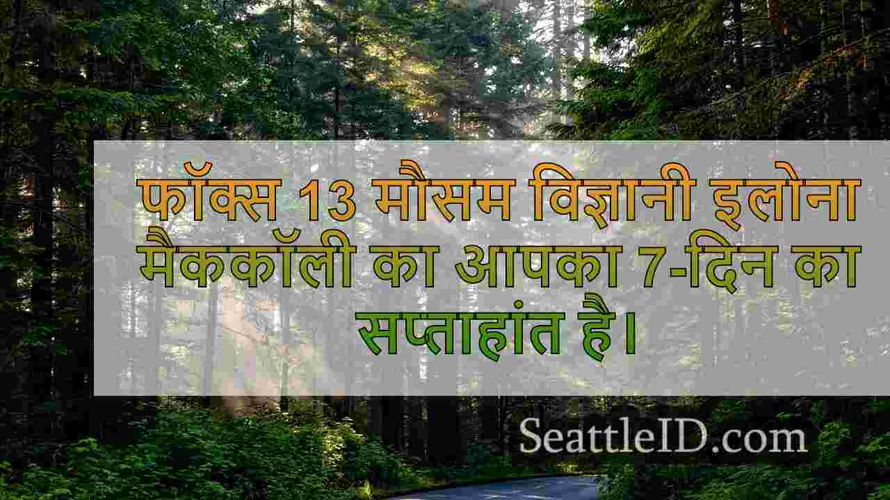 सिएटल समाचार SeattleID