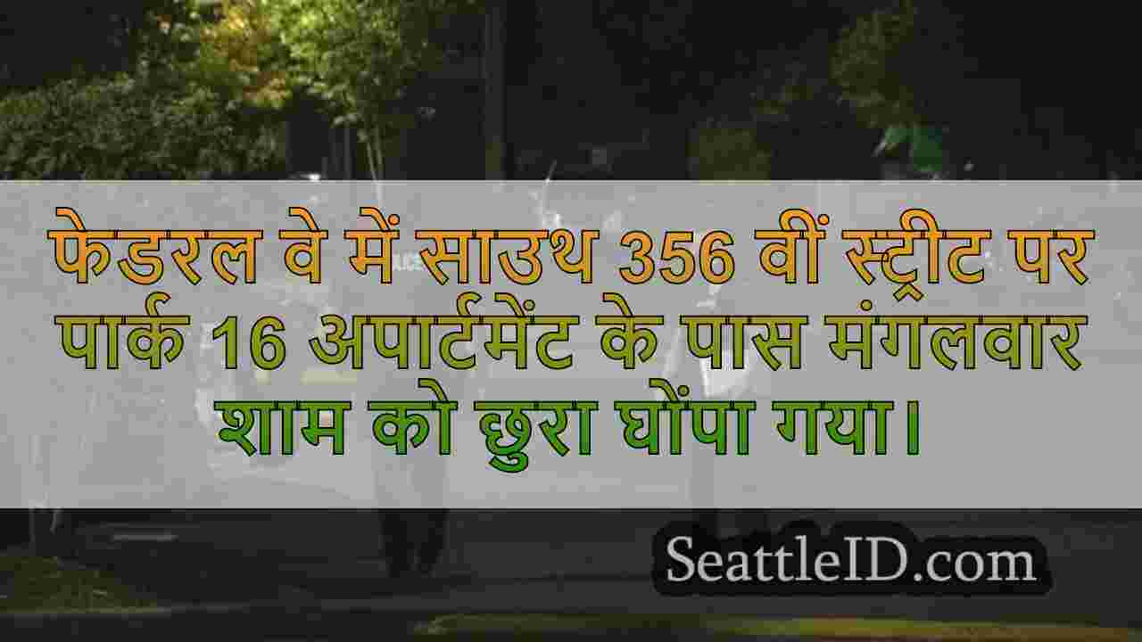 सिएटल समाचार SeattleID