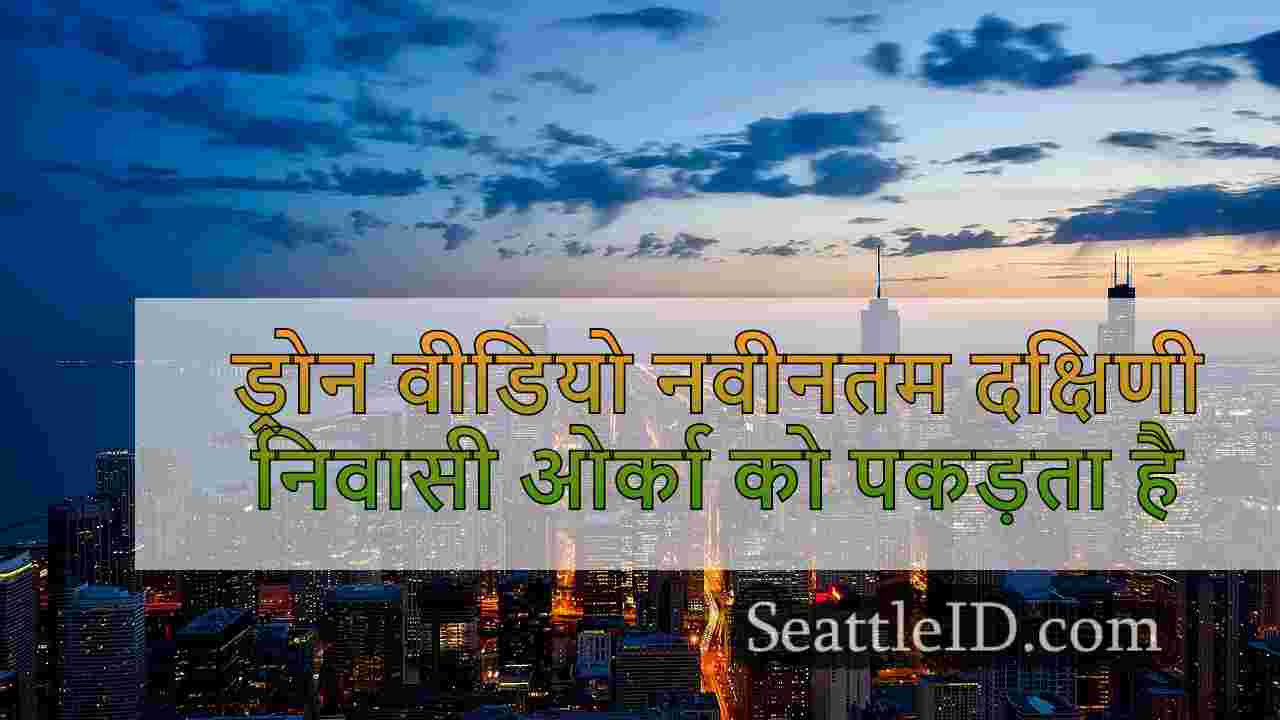 सिएटल समाचार SeattleID