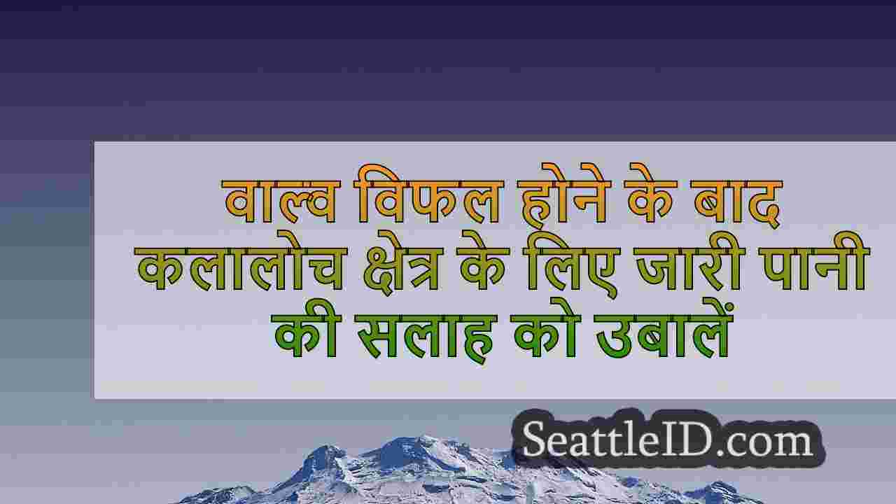 सिएटल समाचार SeattleID