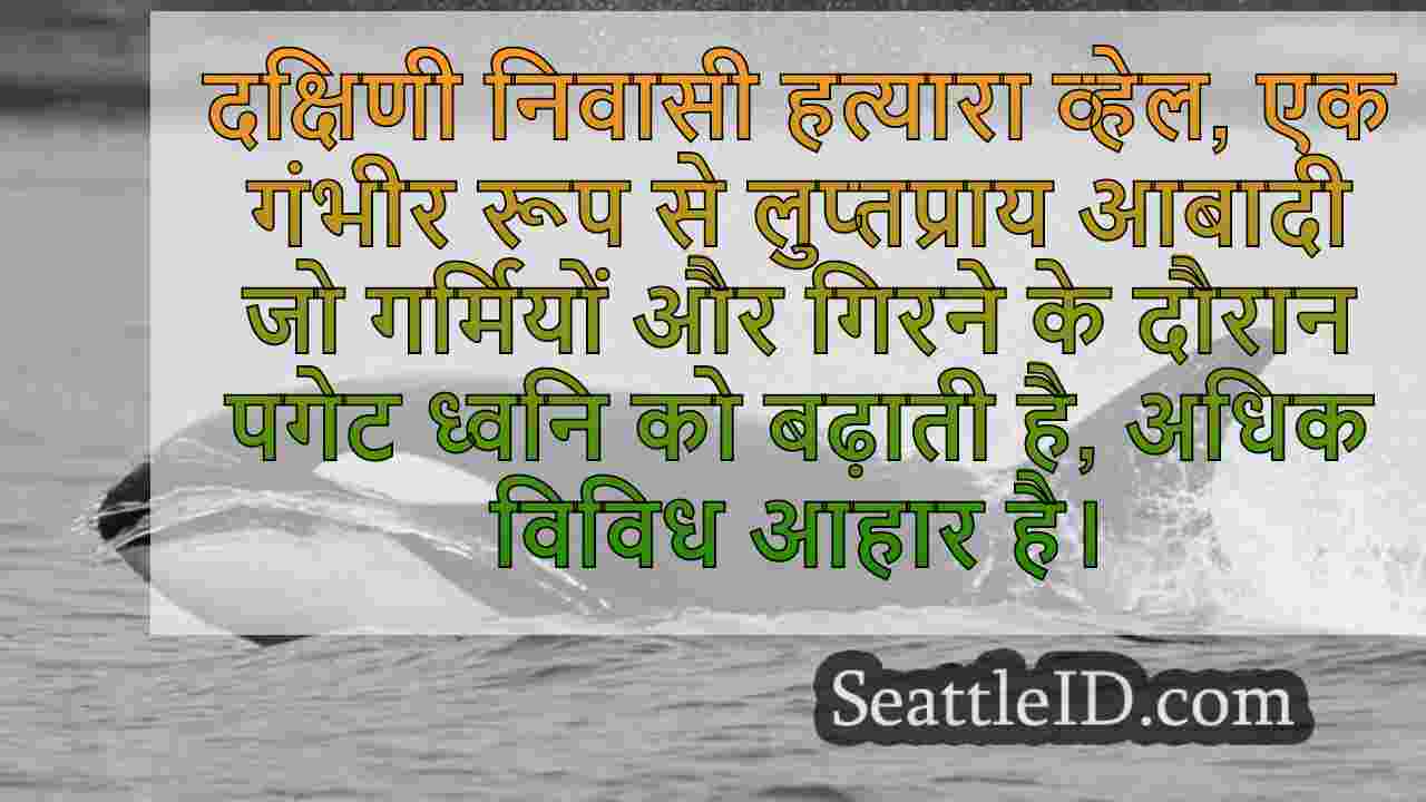 दक्षिणी निवासी ऑर्कास के पास पहले से