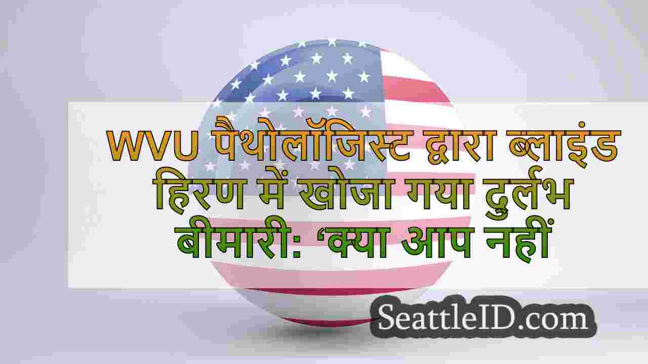 सिएटल समाचार SeattleID