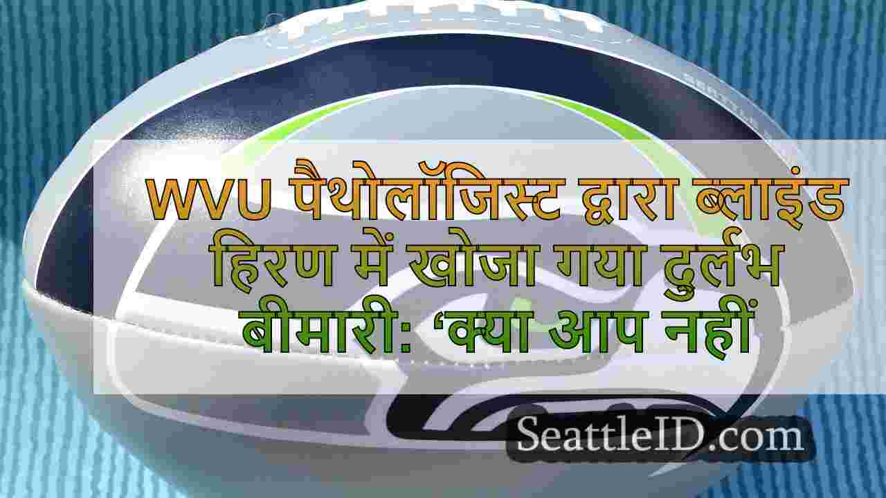 सिएटल समाचार SeattleID