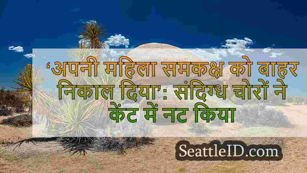 सिएटल समाचार SeattleID