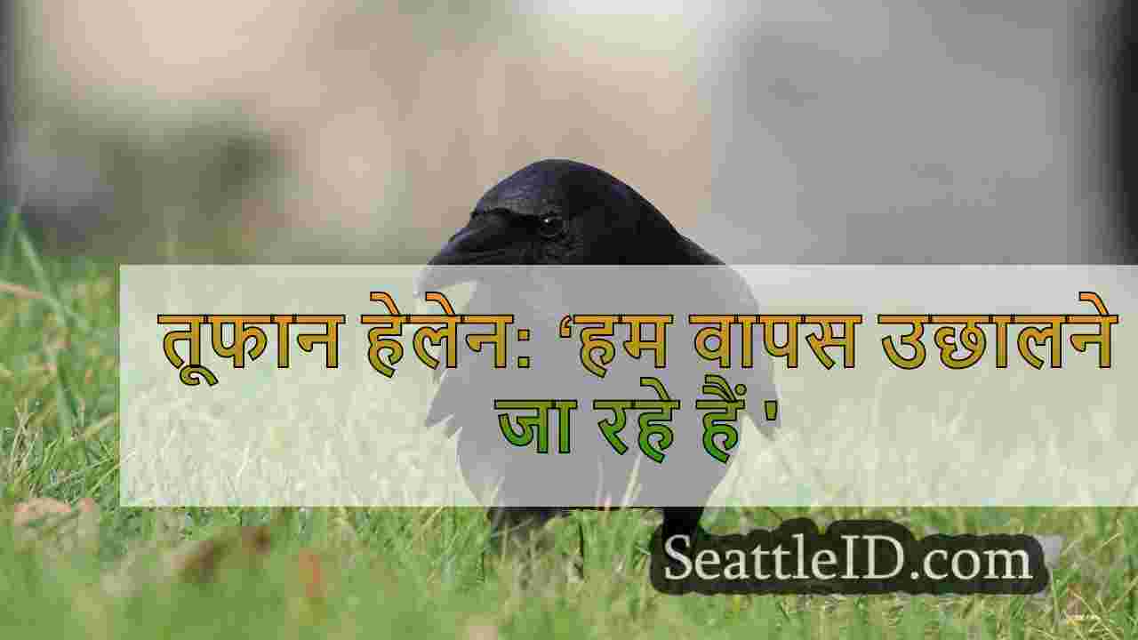सिएटल समाचार SeattleID