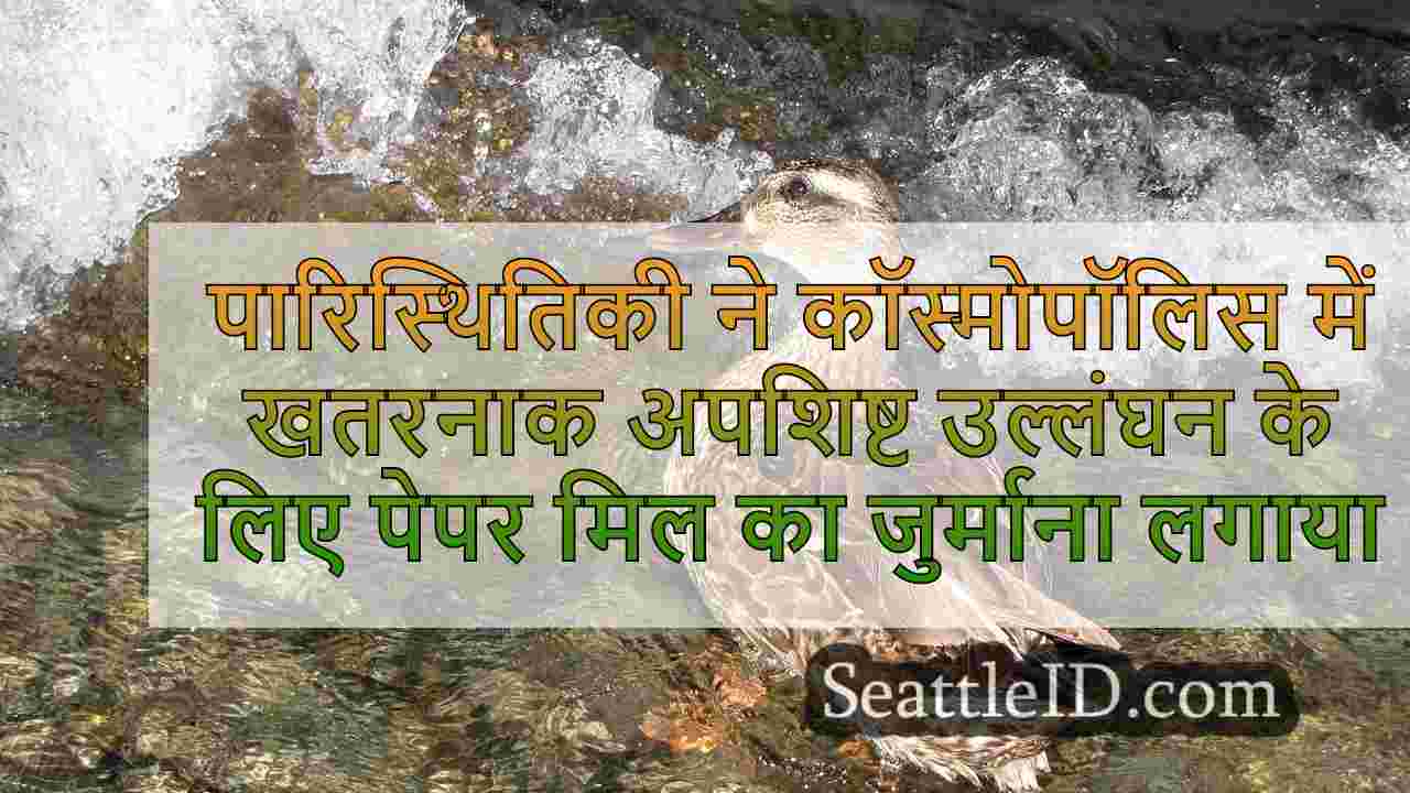 सिएटल समाचार SeattleID