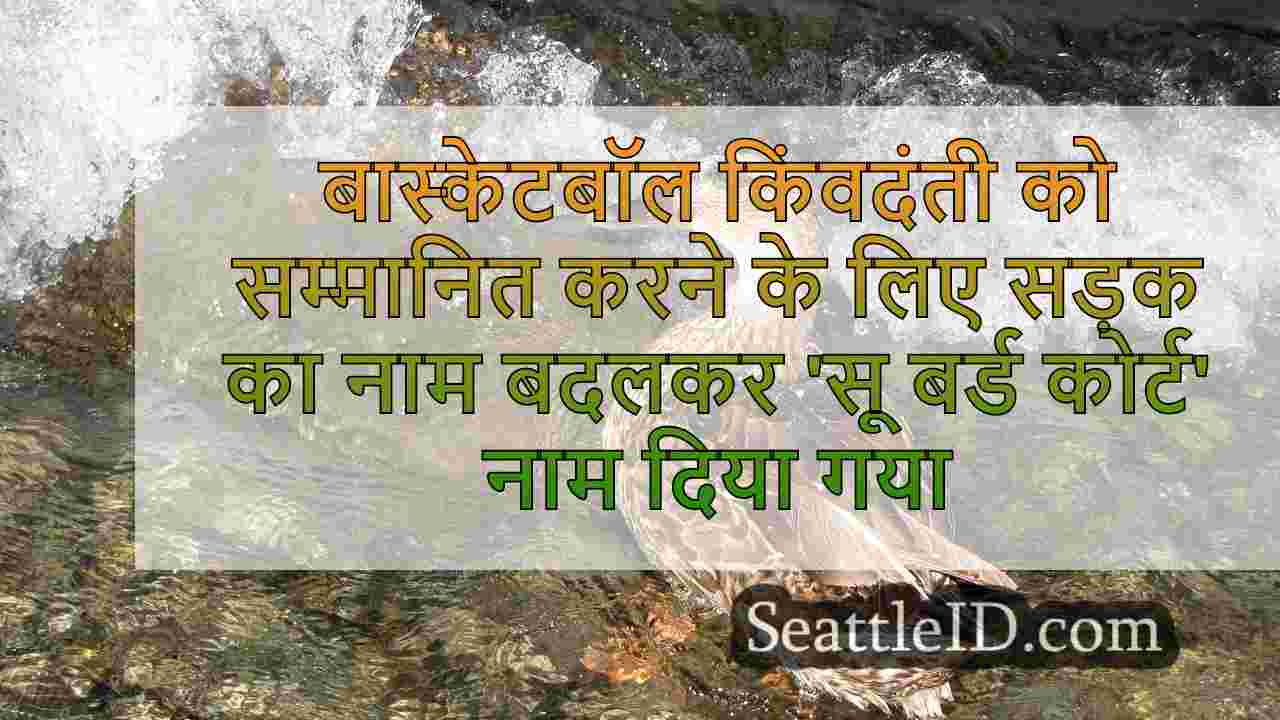 सिएटल समाचार SeattleID