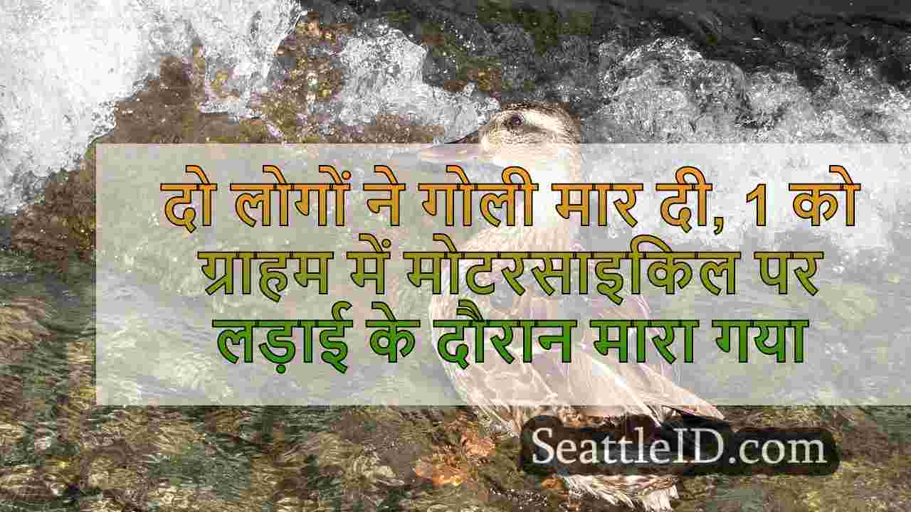सिएटल समाचार SeattleID