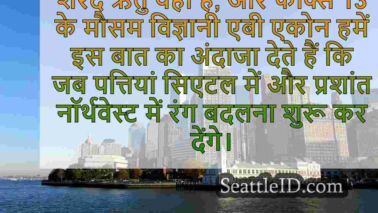 सिएटल समाचार SeattleID