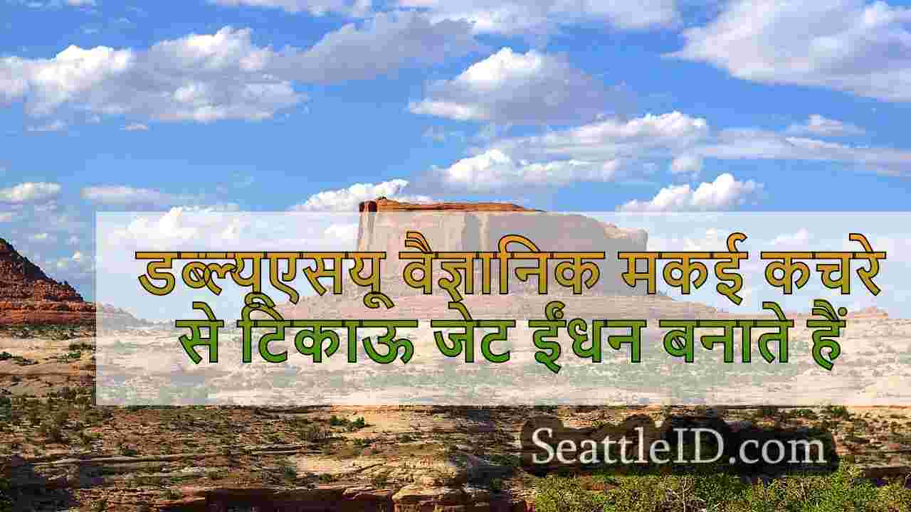 सिएटल समाचार SeattleID