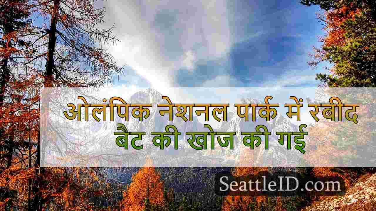 सिएटल समाचार SeattleID