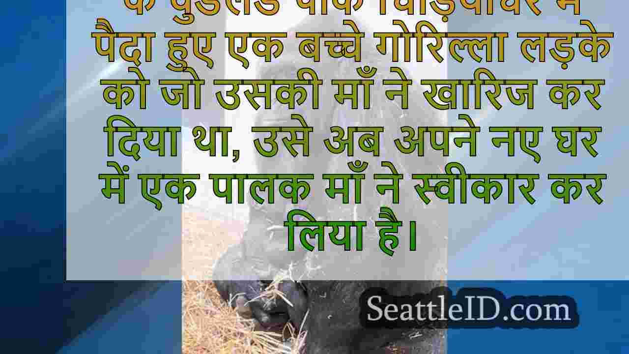 सिएटल समाचार SeattleID