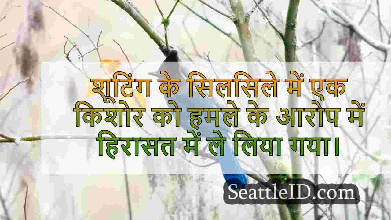 सिएटल समाचार SeattleID
