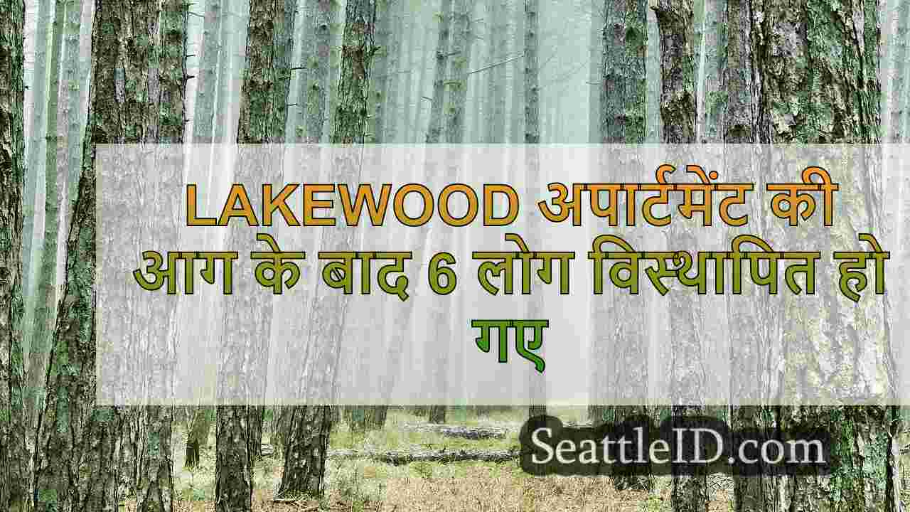 सिएटल समाचार SeattleID