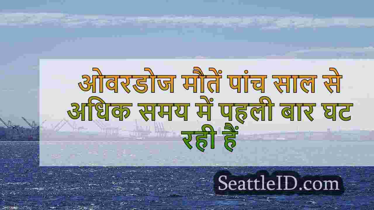 ओवरडोज मौतें पांच साल से अधिक समय में