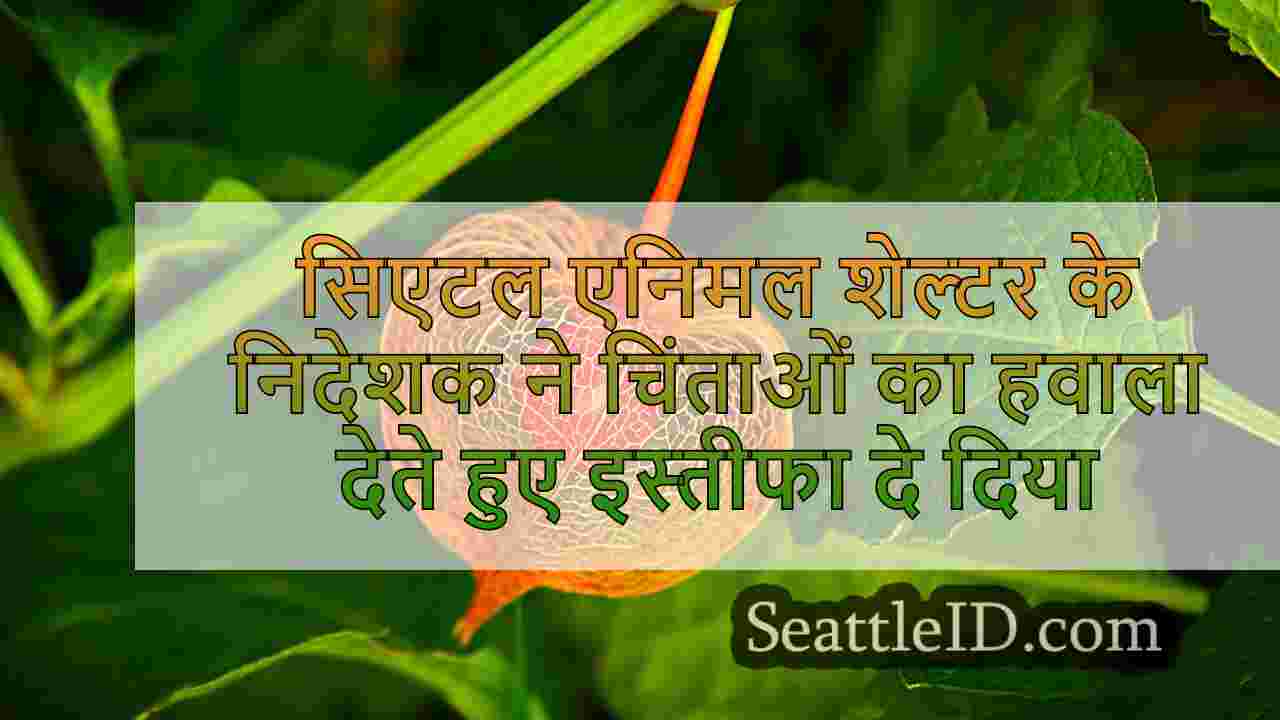 सिएटल समाचार SeattleID