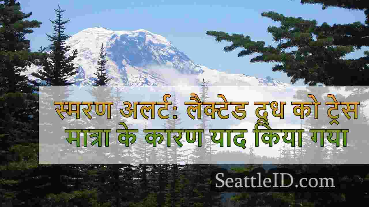 सिएटल समाचार SeattleID