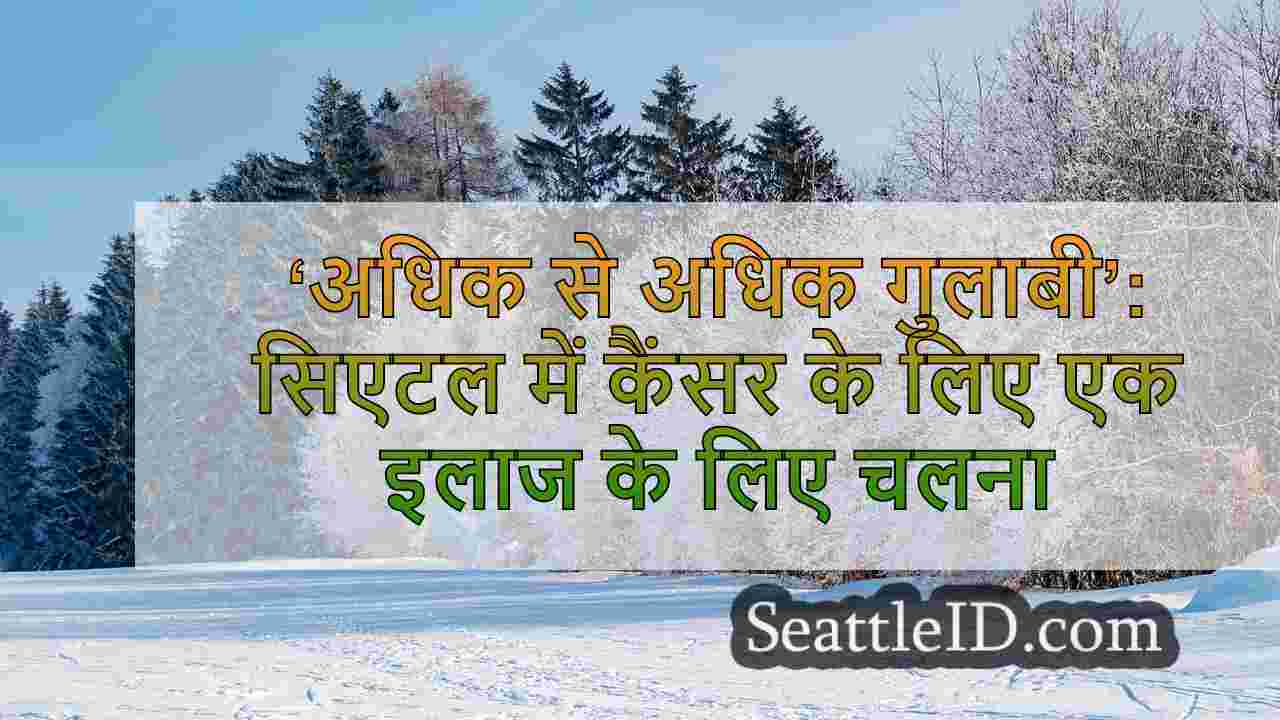 सिएटल समाचार SeattleID