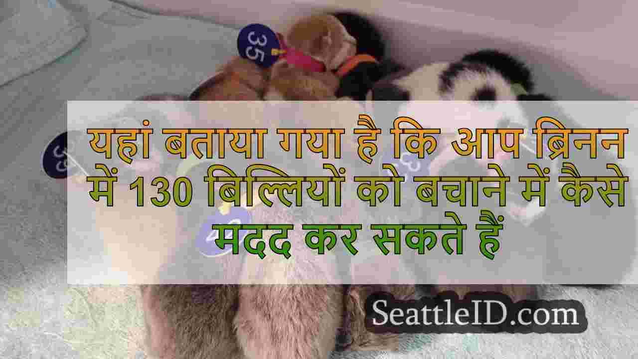 यहां बताया गया है कि आप ब्रिनन में 130