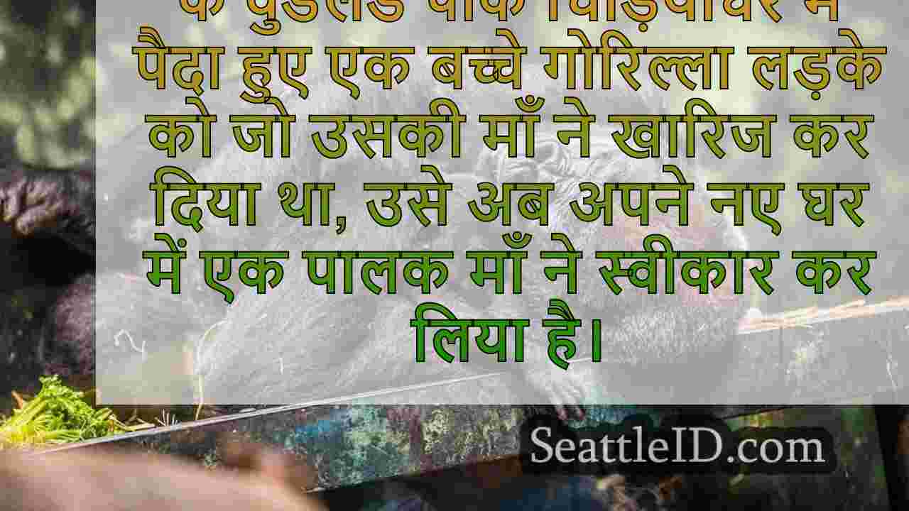 वुडलैंड पार्क चिड़ियाघर का बच्चा