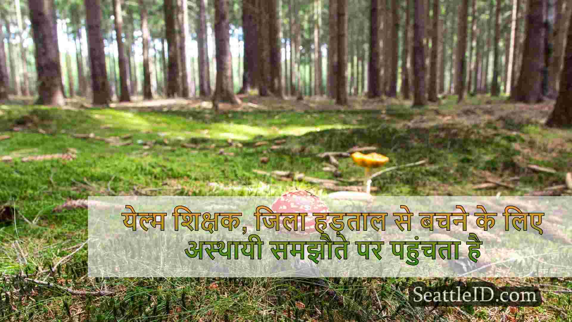 सिएटल समाचार SeattleID