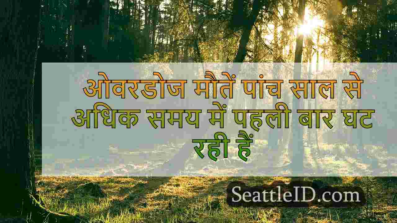 सिएटल समाचार SeattleID