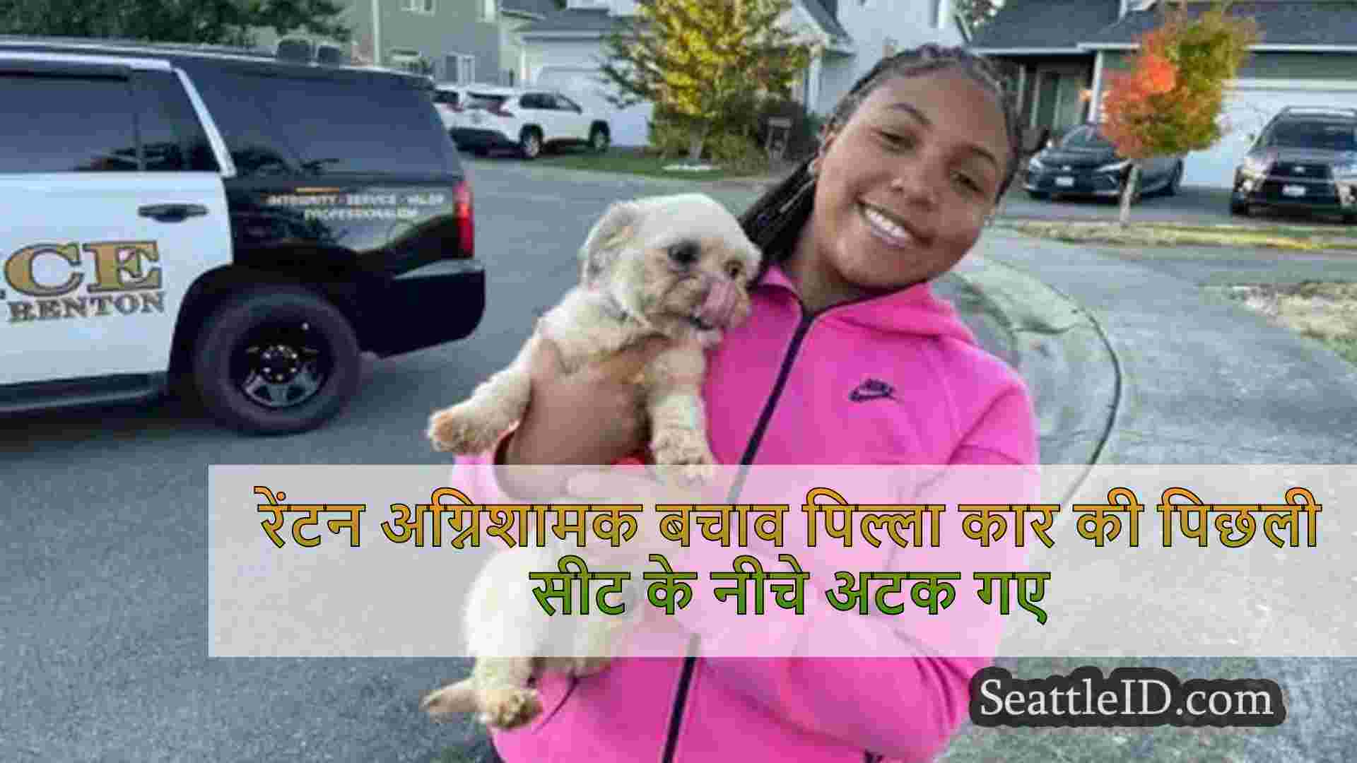 रेंटन अग्निशामक बचाव पिल्ला कार की