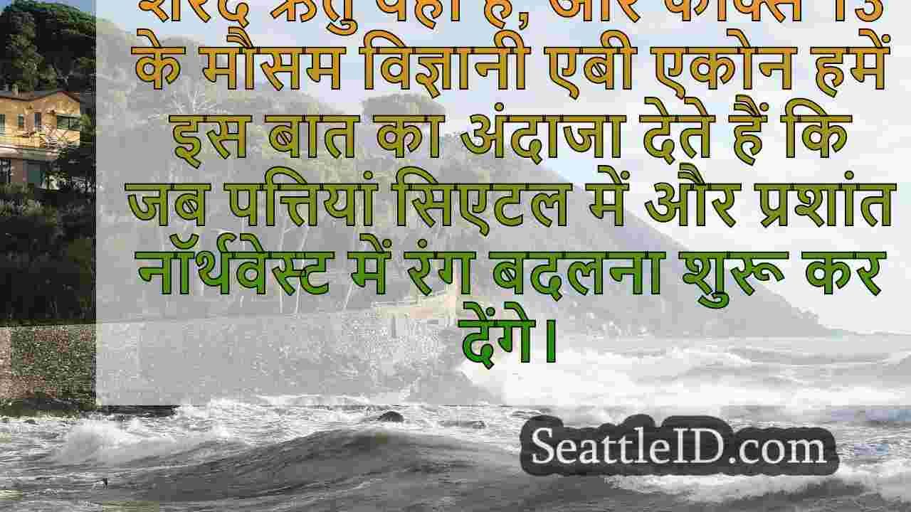 सिएटल समाचार SeattleID