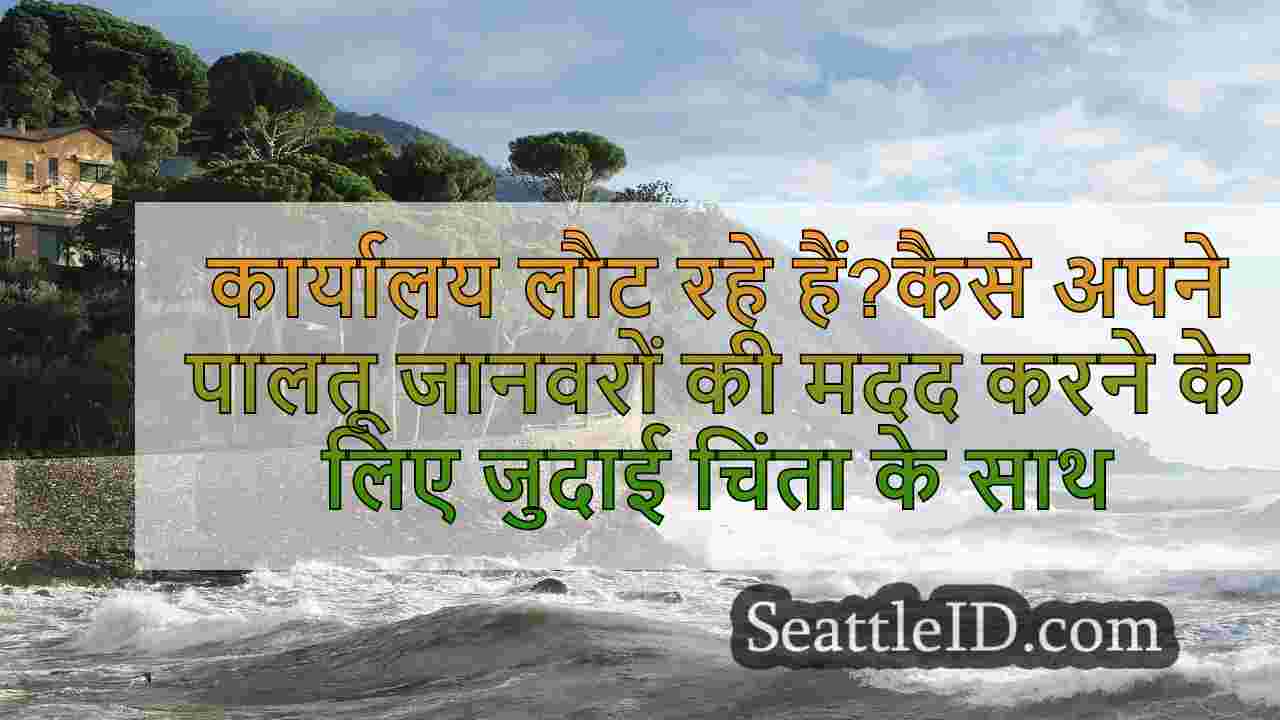 सिएटल समाचार SeattleID