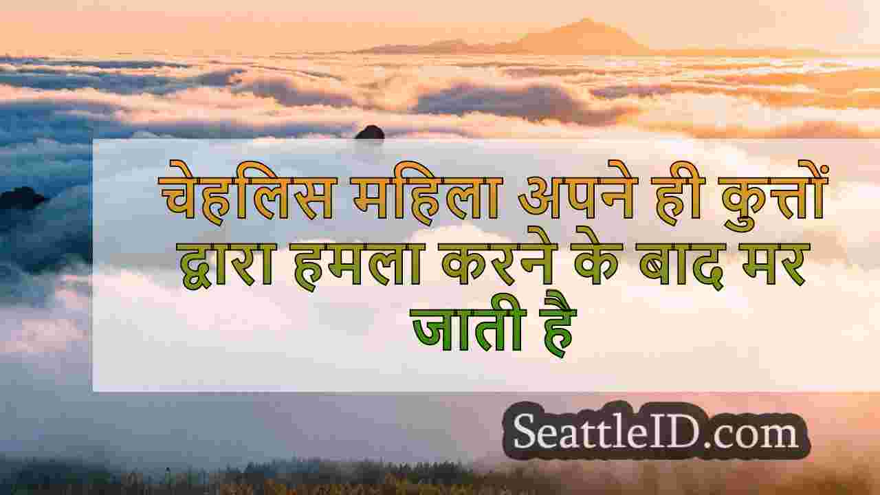 सिएटल समाचार SeattleID