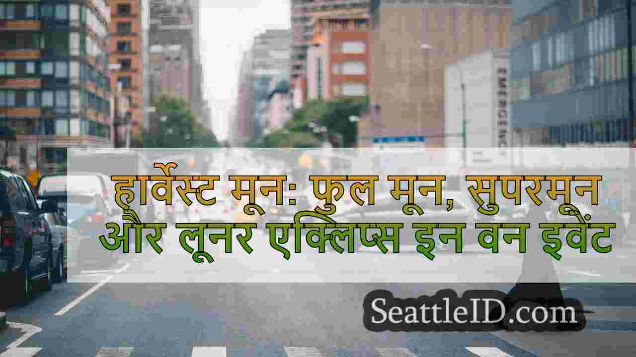 सिएटल समाचार SeattleID